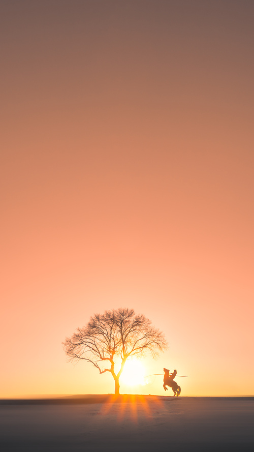 绝杀与接管，跨越体育的精神共鸣