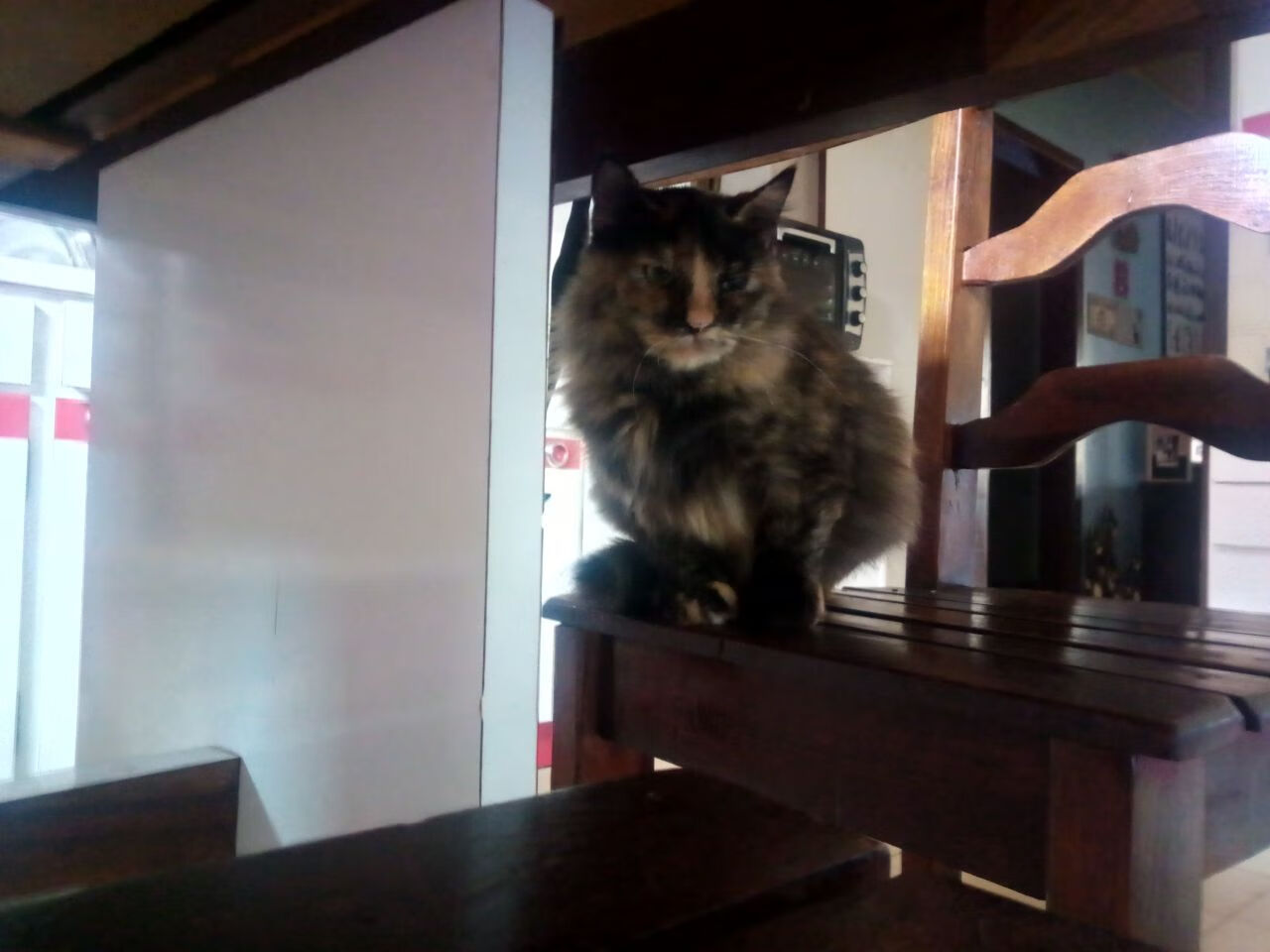 跨界焦点，欧冠半决赛与勇士单节风暴的战术共鸣