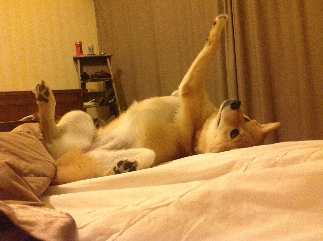 迪亚斯一剑封喉,佛罗伦萨战术压制毕尔巴鄂锁定胜局