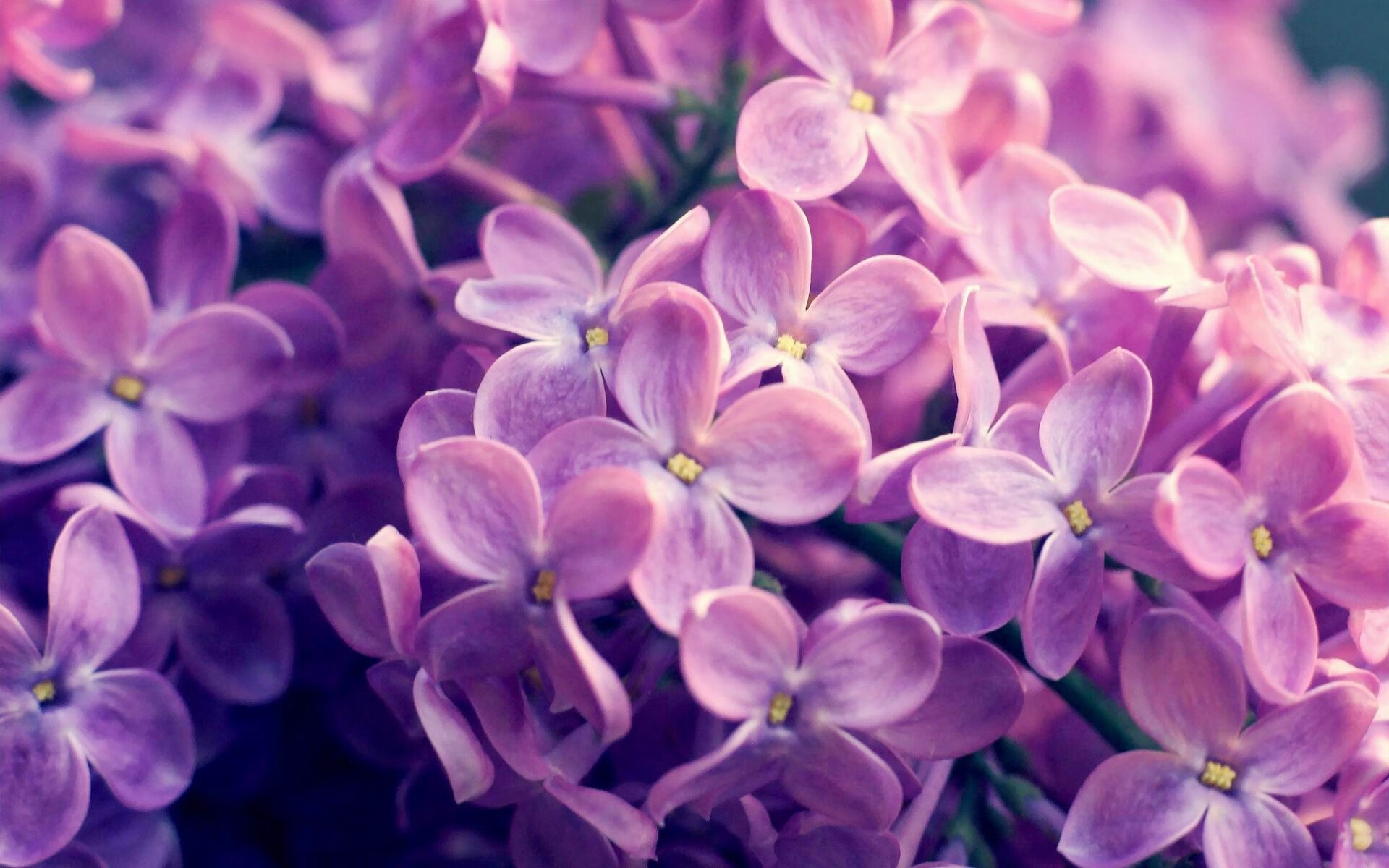 蓝白流星划过蓝色海岸，当阿圭罗在摩纳哥让世界屏息