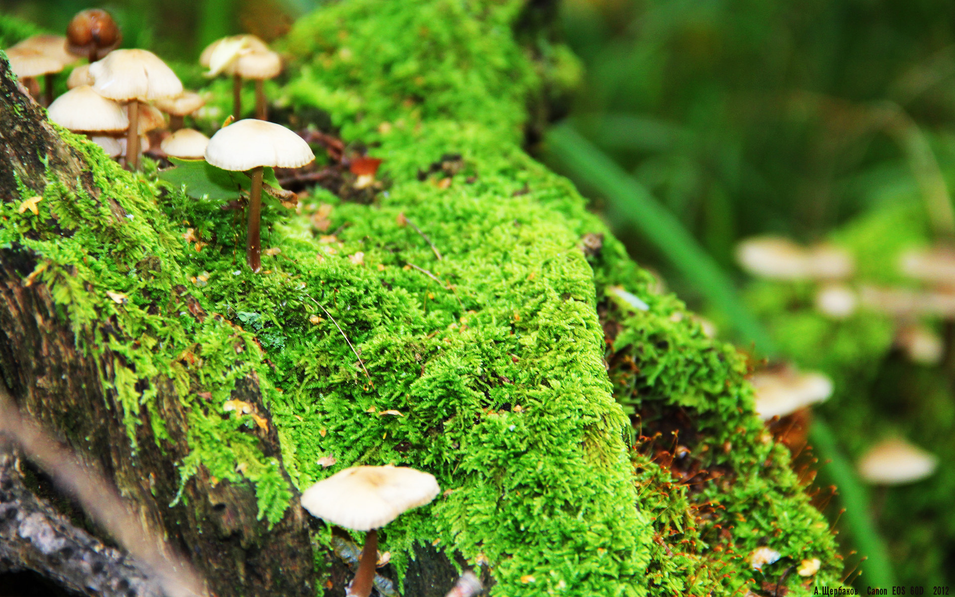 开云体育APP下载-骑士铁骑踏破浙江防线，恩比德关键三分定乾坤