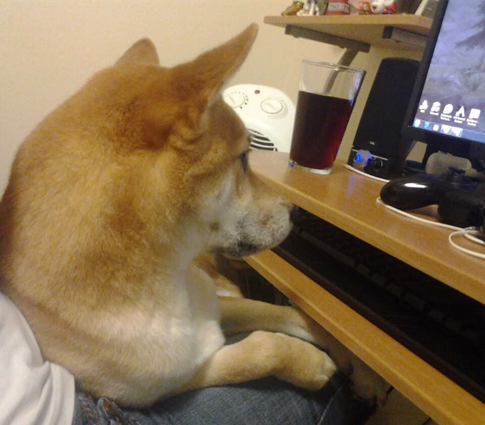 开云体育APP下载-骑士铁骑踏破浙江防线，恩比德关键三分定乾坤